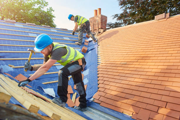 Best Green or Eco-Friendly Roofing Solutions  in Soh Willard, UT